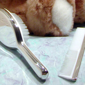 engravable silver baby brush and comb set